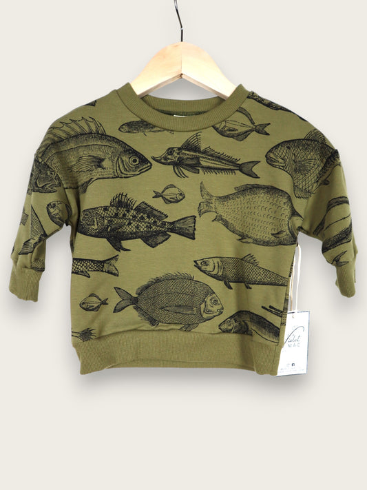 Fish Study Sweater