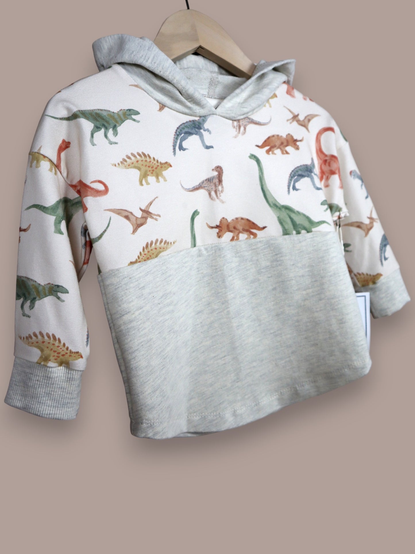 Dino Hoodie